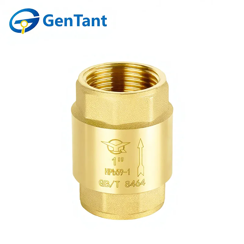 Spring Check Valve